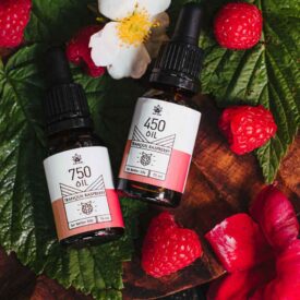 Set of 2x 3% hemp oil CBD RASPBERRY 450 mg 15ml